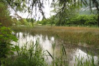 Un paradis pour la faune