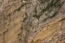 Paroi rocheuse du Salève