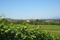 Vue de Dardagny depuis ses vignes