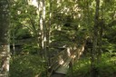 Passerelle dans le vallon de la Roulavaz