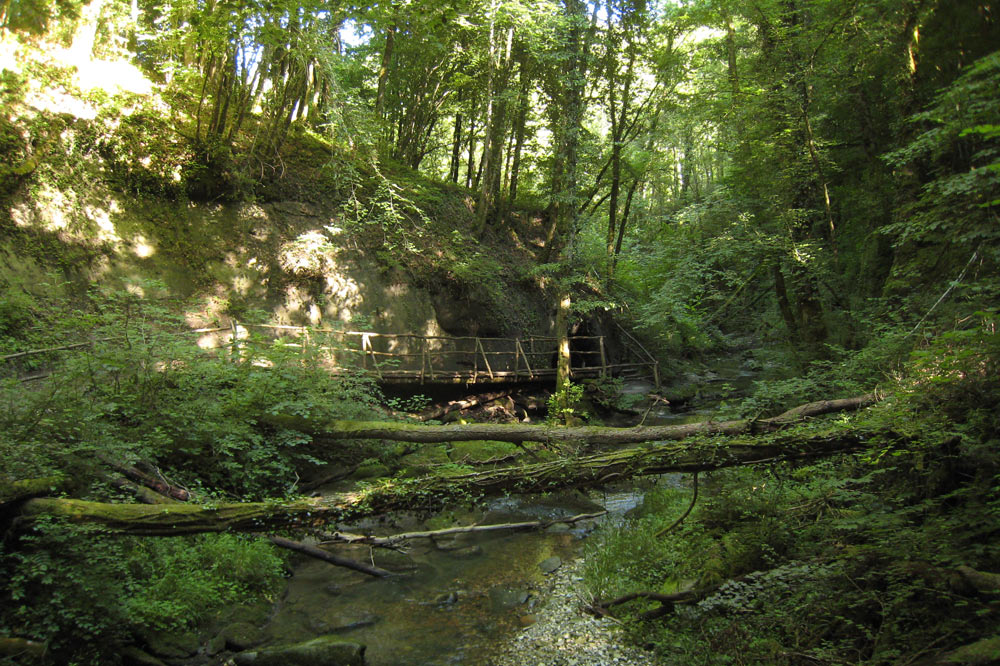 Vallon de la Roulavaz