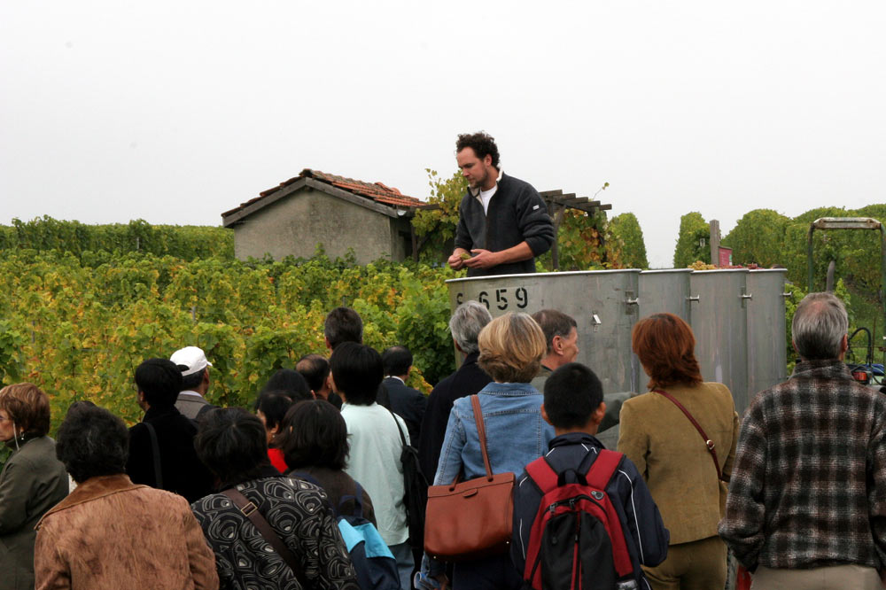 Stéphane Gros explique le travail de la vigne