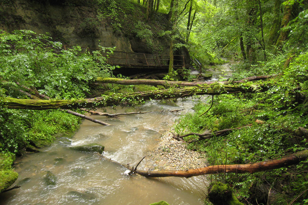 Le vallon de la Roulavaz