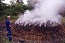 Fabrication de charbon