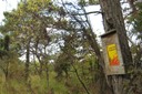 Le climat favorice les feux de forêts