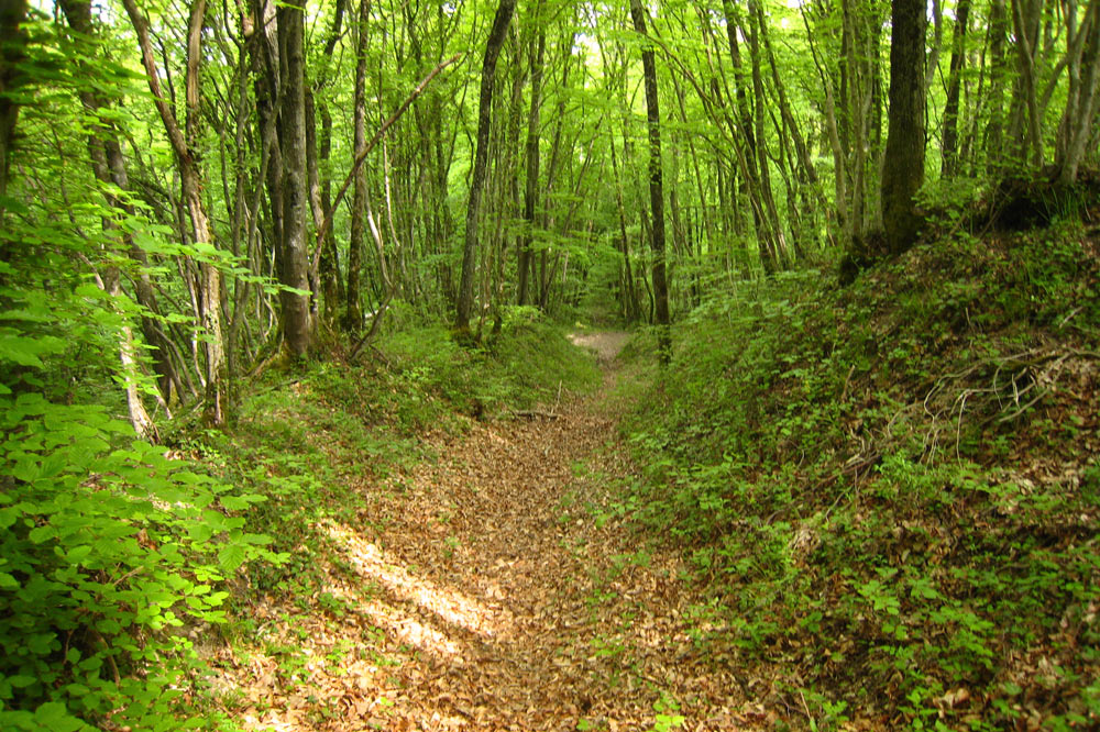 Sentier des Bouchets