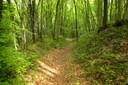 Sentier des Bouchets