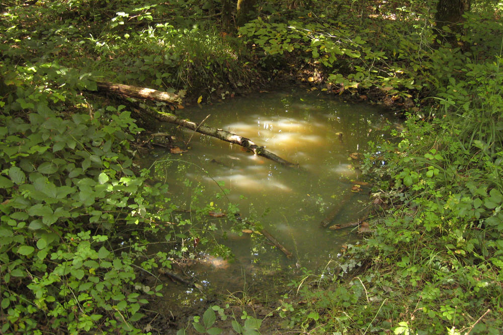 Le sol argileux retient l'eau