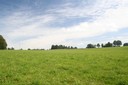 Campagne des Franches-Montagnes