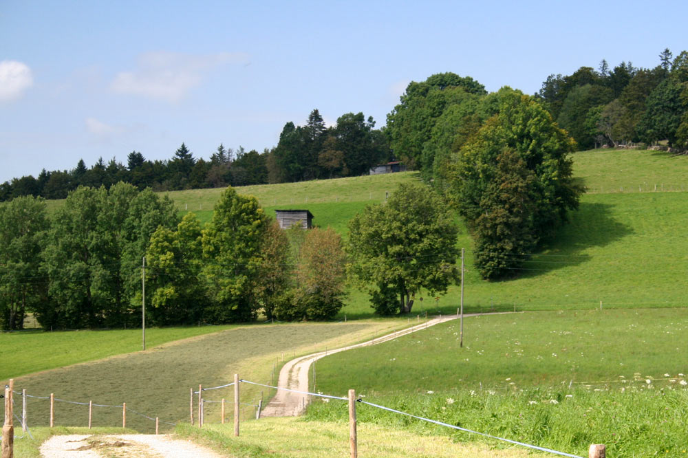 Chemin agricole