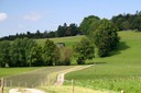 Chemin agricole