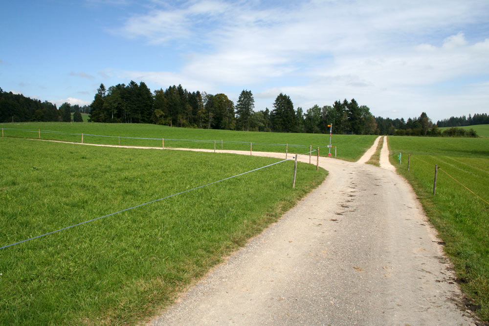 Réseau ed chemins agricoles aux Cerlatez