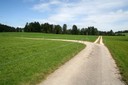 Réseau ed chemins agricoles aux Cerlatez