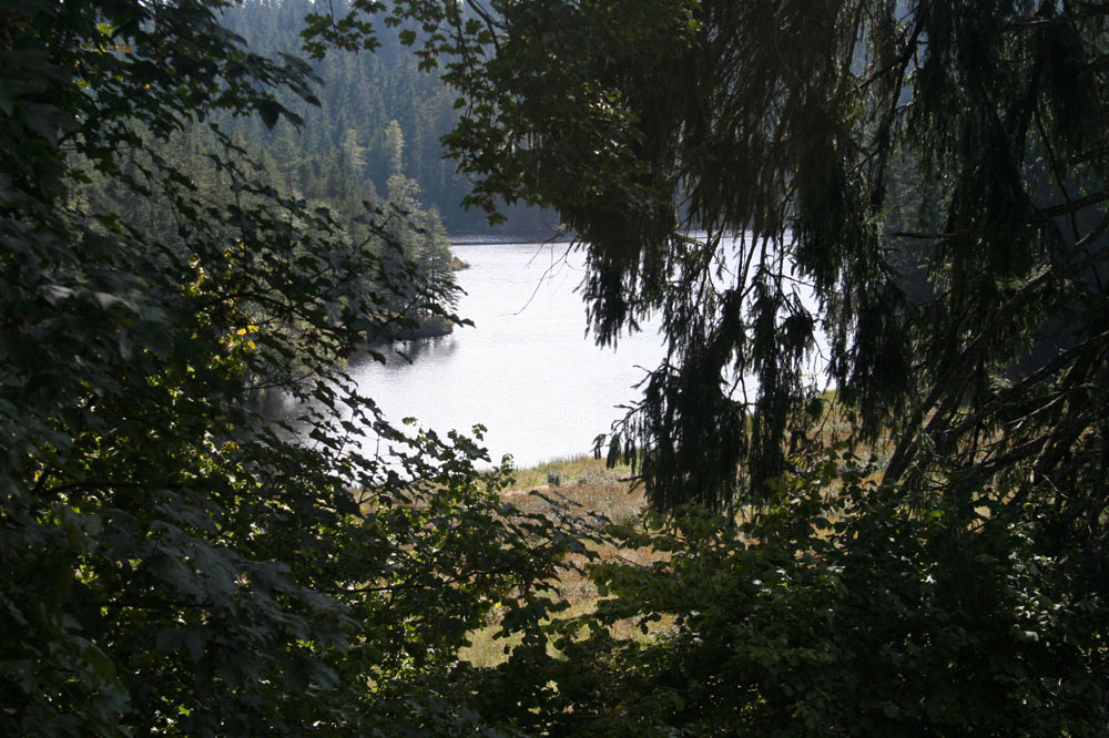 Coup d'œil sur l'Etang de La Gruère