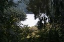 Coup d'œil sur l'Etang de La Gruère