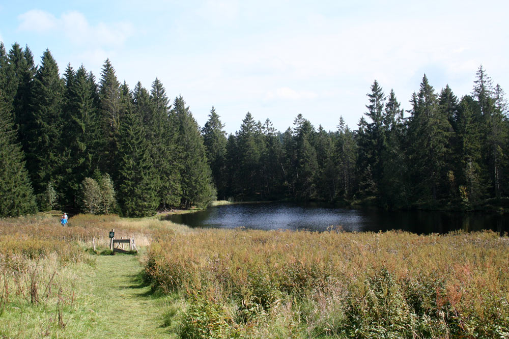 Etang de la Gruère