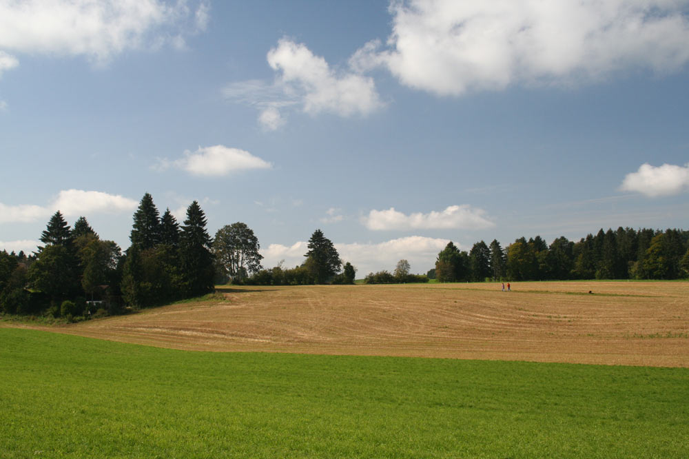 Paysage franc montagnard