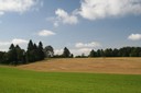 Paysage franc montagnard