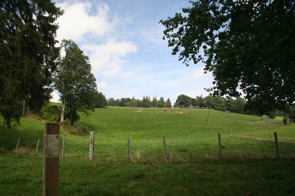 Campagne franc-montagnarde