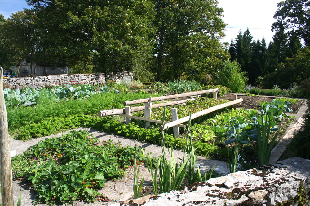 Jardin potager de la Petite Theurre