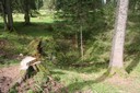 Terrain accidenté abandonné à la forêt