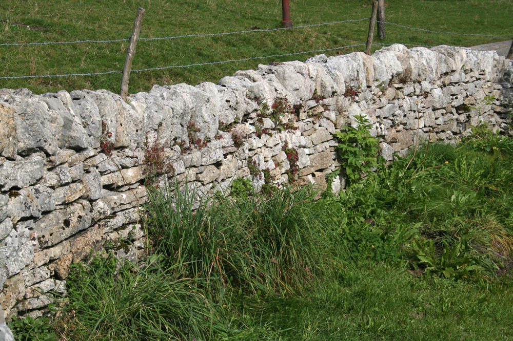 Mur de pierres sèches
