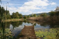 Etang de la Creule, Courgenay