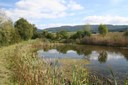 Etang de la Creule
