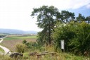 Poste didactiques du Parcours nature de Courgenay