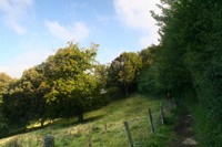 Poste: Entre prairie et forêt