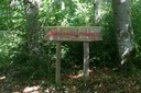 Entrée du labyrinthe du sentier des faine - la forêt enchantée