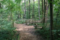 Sentier des Faînes - La Forêt enchantée - Boncourt