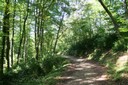 Sentier forestier dans la forêt de Boncourt