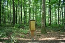 Poste: Une forêt bien éduquée