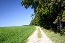 Chemin agricole à Lajoux