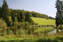 Etang de Sous-le-Crât, Lajoux