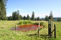 Poste: Extraction du minerai