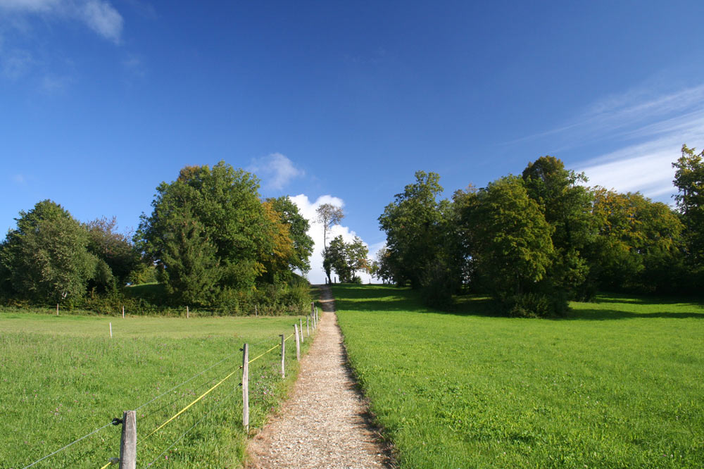 Paysage de campagne jurassienne