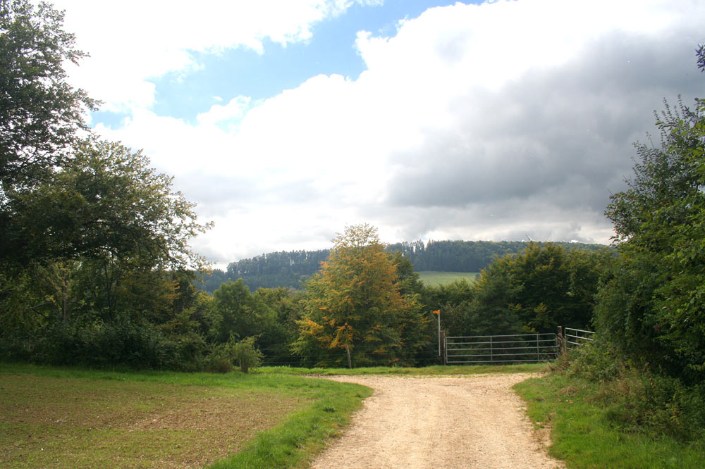 Chemin agricole