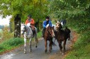 Promenade à cheval