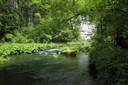 La rivière enchanteresse