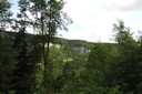 Forêt de la Vallée de la mort