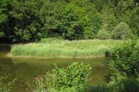 Une île sur le Doubs