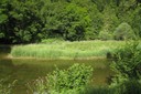 Une île sur le Doubs