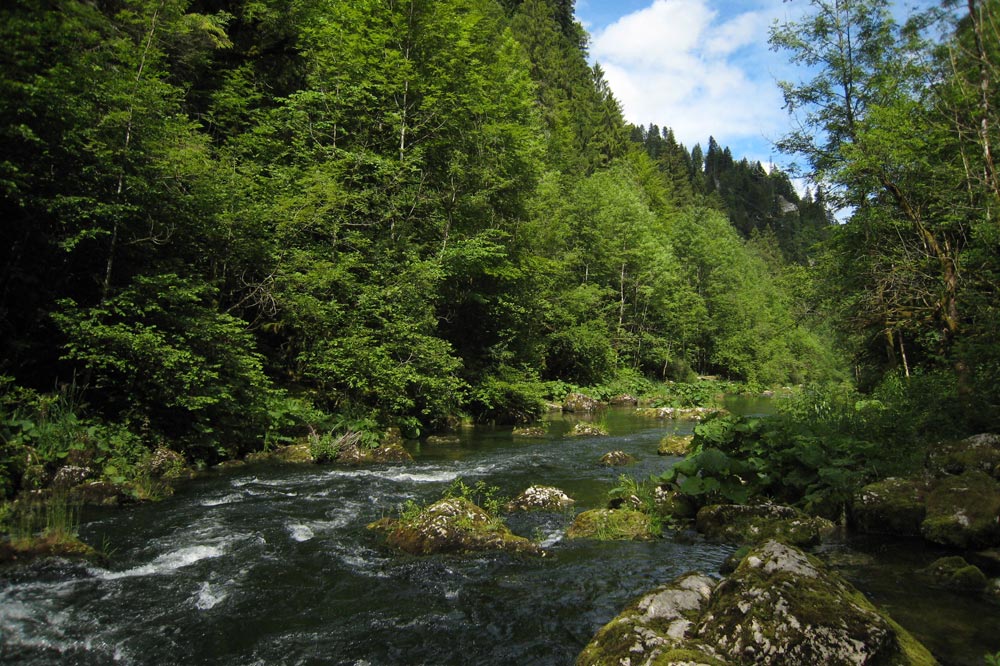 Rapide sur le Doubs