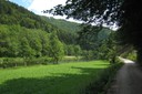 Terrasses herbeuses sur les rives du Doubs