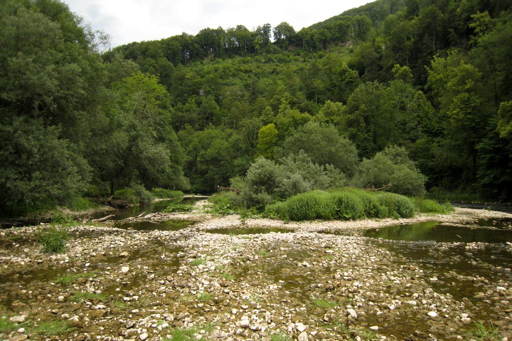 Zone alluviale de la Lomène