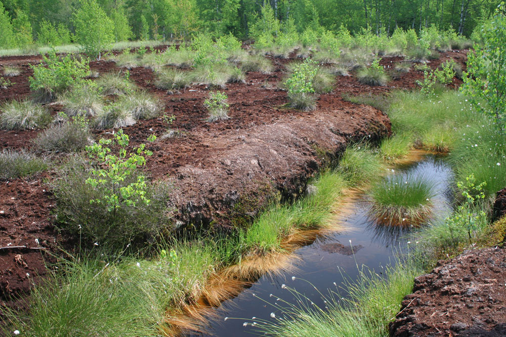 Ancien canal de drainage