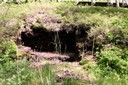 Ancien mur de tourbage