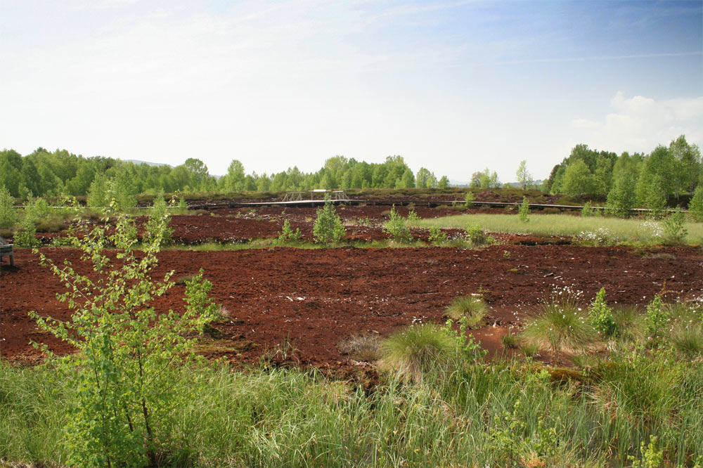 Ancienne surface d'exploitation de la tourbe à des fins horticole